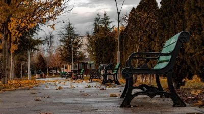 Banco em parque arborizado com caminho, folhas no chão e paisagem tranquila
